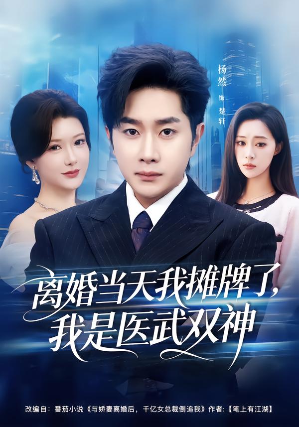 離婚當天我攤牌了，我是醫(yī)武雙神(全集)